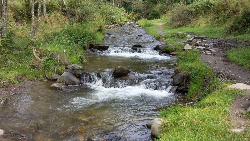 Fluss, © Österreichs Wanderdörfer, Elisabeth Pfeifhofer