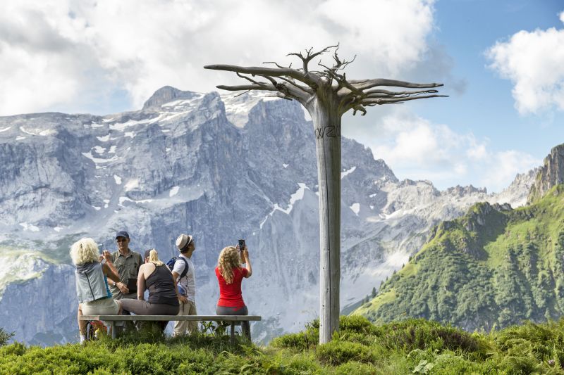 Der Mythenbaum - Gauertaler AlpkulTour, © Andreas Haller - Montafon Tourismus GmbH, Schruns