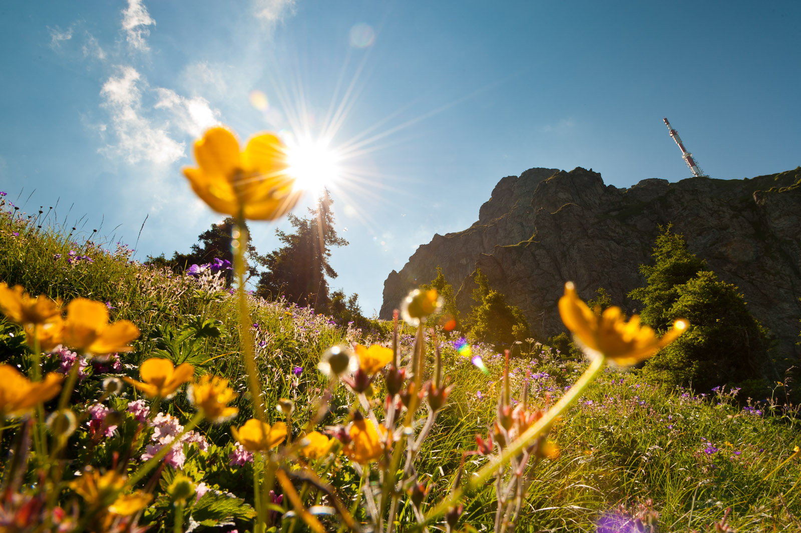 Fruhlingserwachen Entdecke Den Osterreichischen Wanderfruhling