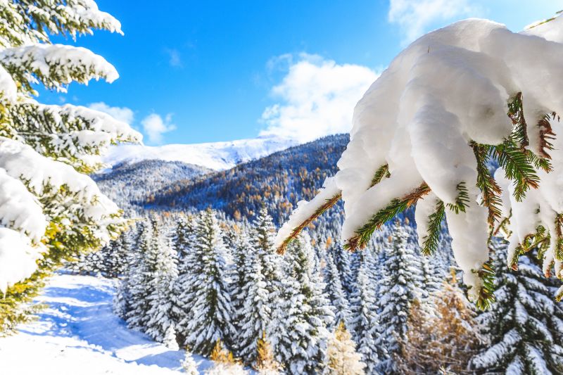 Winterlandschaft © TVB Naturpark Zirbitzkogel-Grebenzen, Brandlion