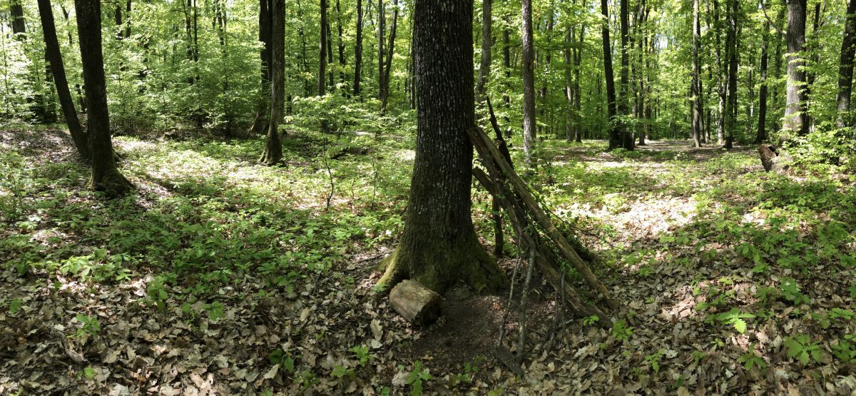 Haus im Wald, © Österreichs Wanderdörfer, Angela Harfmann