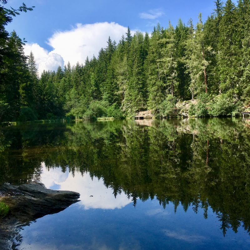 Naturpark Zirbitzkogel-Grebenzen © Wandersommer deines Lebens 2019