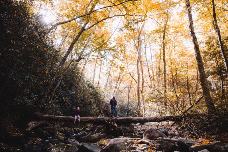 Raus in die Natur In den Bergen erleben Familien viel (c) Andrew Neel on Unsplash