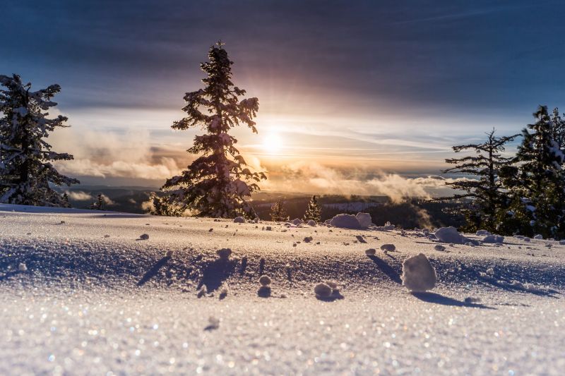 Winterlandschaft und Sonne, Unsplash