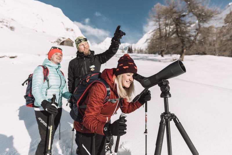 Nature Watch Tour © NationalparkHoheTauern_Robert_Maybach