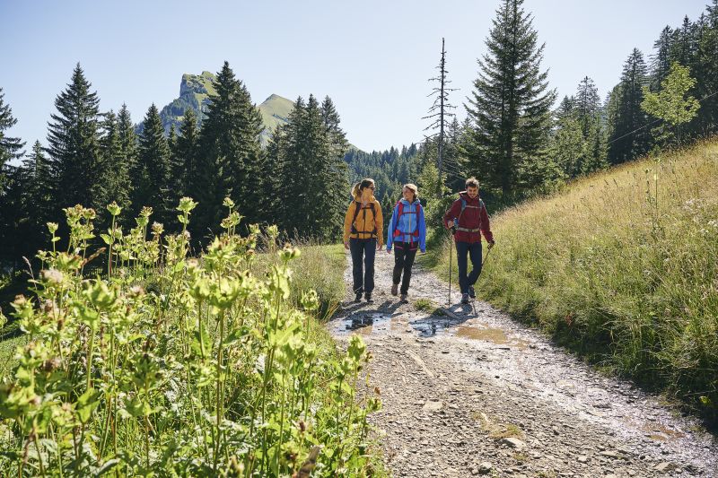 Wandern zwischen Bergstation Mellaubahn und Alpe Kanis © Alex Kaiser - Bregenzerwald Tourismus (9).jpg