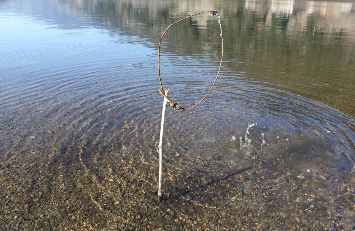 Ringe aus Ästen im Wasser