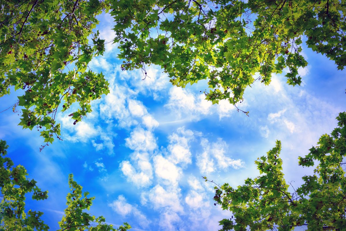 Auf der Wiese liegend in den Himmel schauen.