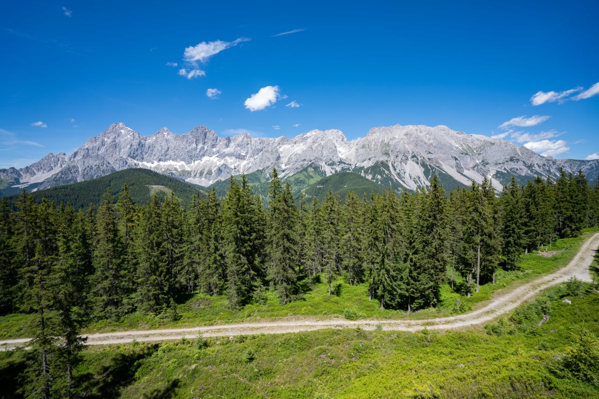 ramsau_rittisberg__(c)bugsandbears