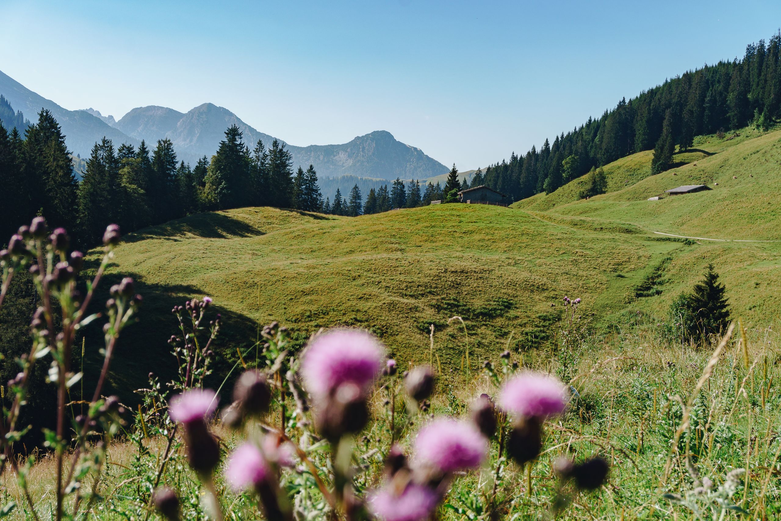 Erlebnisse Im Salzburger Saalachtal Osterreichs Wanderdorfer