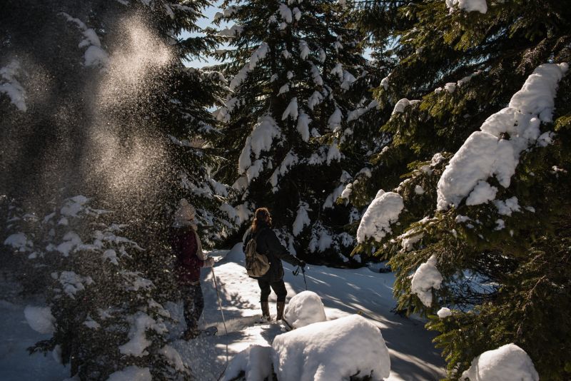 2014_Winter_Schneeschuhwandern_Saualpe_Eberstein © Region Mittelkärnten (3)