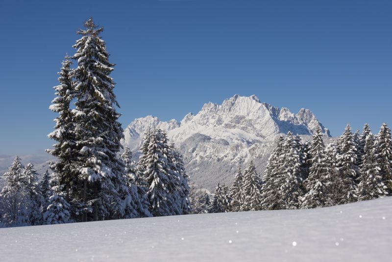 Blick Wilder Kaiser Oberndorf © Franz Gerdl, St. Johann in Tirol