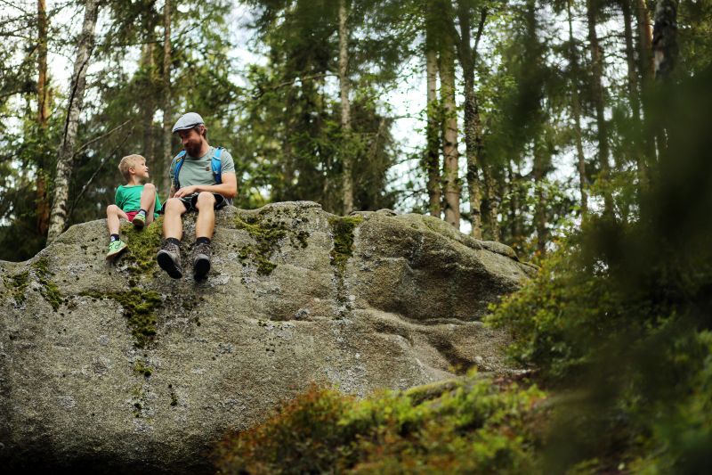 NP_Heidenreichstein_3©-WaldviertelTourismus-weinfranz-scaled.jpg